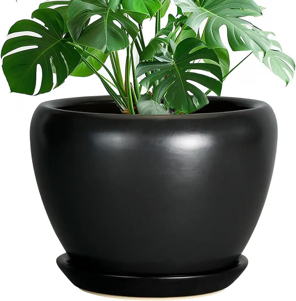 Ceramicfor Ceramic Pot for Plants, 10 Inch Plant Pot, Black