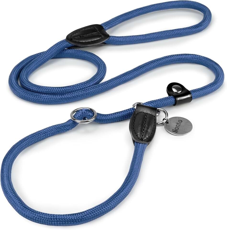 lionto Retrieverleine für Hunde, Robust, Wetterfest, 120 cm, Blau | Fellschonende Moxonleine mit integriertem Halsband und Stoppring, Trainingsleine mit Zugstopp für Hunde aller Größen