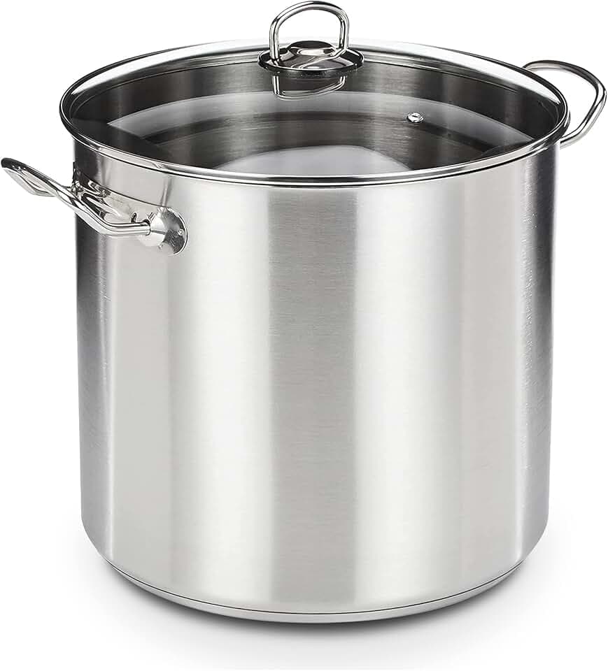GSW 643474 Profi-Topf mit Glasdeckel, 30 x 28cm, 20 l, Edelstahl, silber, 30 x 28 x 30 cm