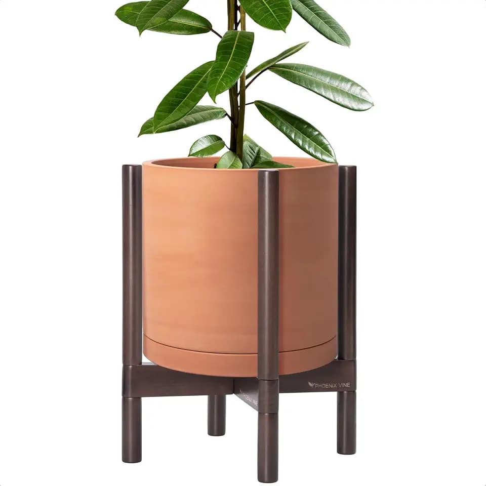 D'vine Dev Terracotta Pot with Walnut Wood Stand, 12 in, 55-B-W-5