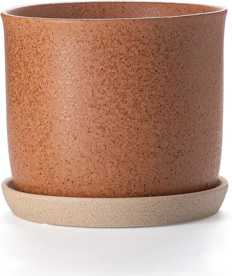8 Inch Ceramic Plant Pot with Drainage Hole & Separate Saucer