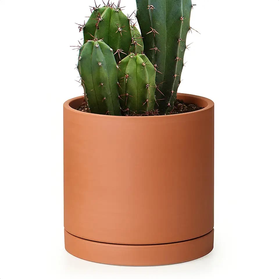 D'vine Dev Terracotta Plant Pot with Saucer, 6 Inch, 40-X-A-3