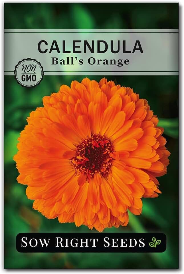 Sow Right Seeds - Ball’s Orange Calendula Seed for Planting Home Medicinal