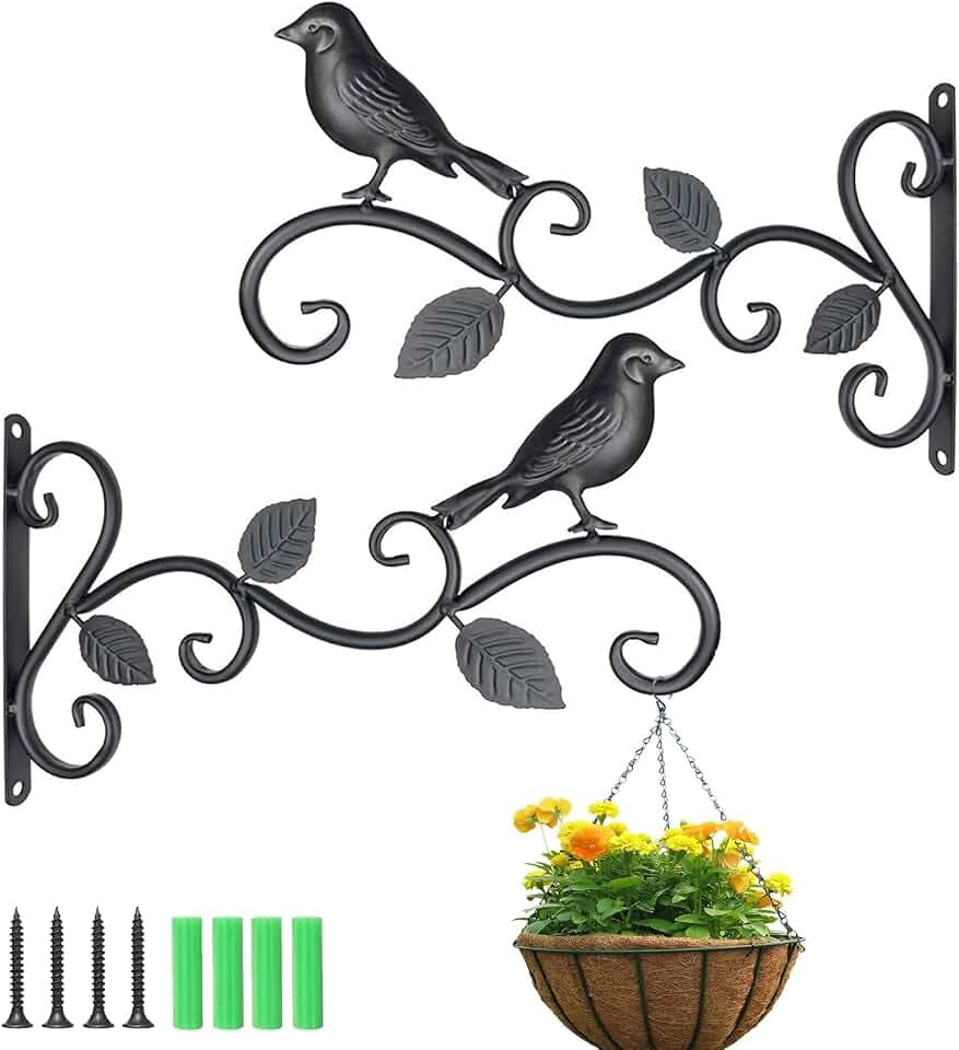 CATTY 2 Stücke Blumenampelhalter, Wandbehang Korbhalterungen, Wandbehang Pflanzenhalterung, Eisen Pflanzen Hängehaken, für Vogelhäuschen, Pflanzgefäße, Laternen, mit 4 Schrauben, 4 Expansionsrohr