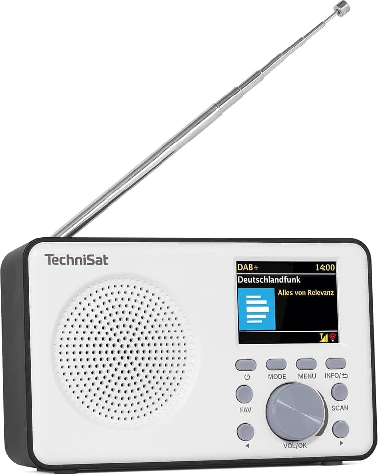TechniSat Viola 2 C BT - tragbares DAB Radio mit Bluetooth