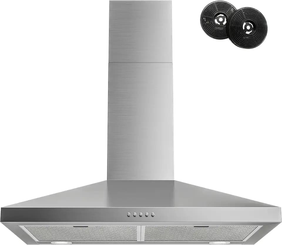 FIREGAS Wall Mount Range Hood 30 Inch,450 CFM,Stainless Steel