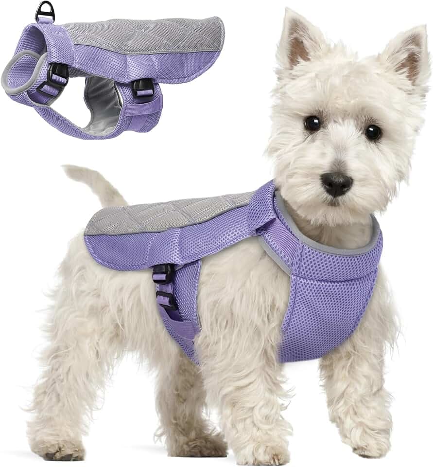 Kühlweste Hund, Sommer Kühlgeschirr für Hunde mit D-Ringe, Sonnenschutz Hund Kühlmantel, Kühlendes Hundegeschirr Hundekühlwesten für Heißen Sommertagen Outdoor Aktivitäten, Flieder XS