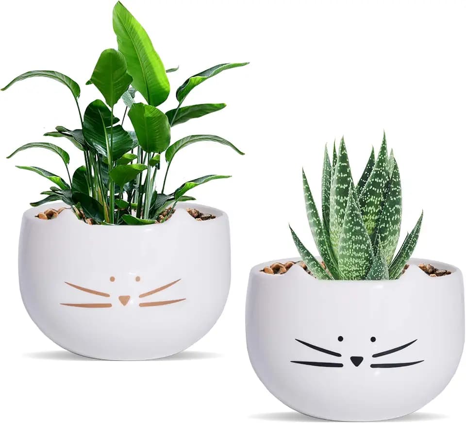 Koolkatkoo 5.5 Inch Cute Cat Succulent Planter Pots Cactus Planters Flower Pots White Set of 2