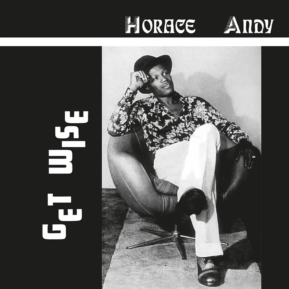 Get Wise [Vinyl LP]