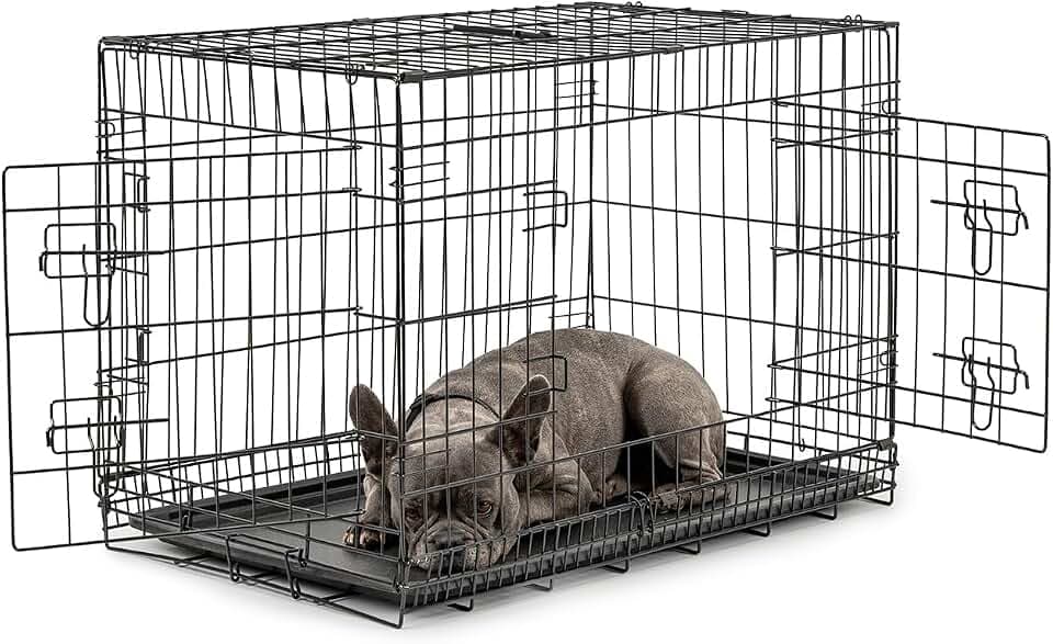 lionto Transportkäfig für Hunde & Katzen, Faltbar, 76 x 49 x 56 cm, Schwarz