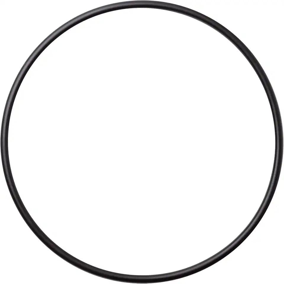A. O. Smith AO-WH-LG-OR Genuine Replacement | O-Ring | for 4.5" Filters