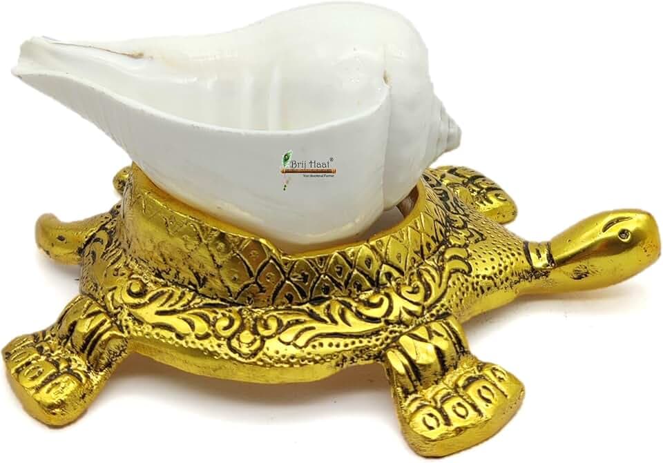 BRIJ HAAT Natural shankh Conch Shell with Golden Turtle Stand for Pooja, Home Decor
