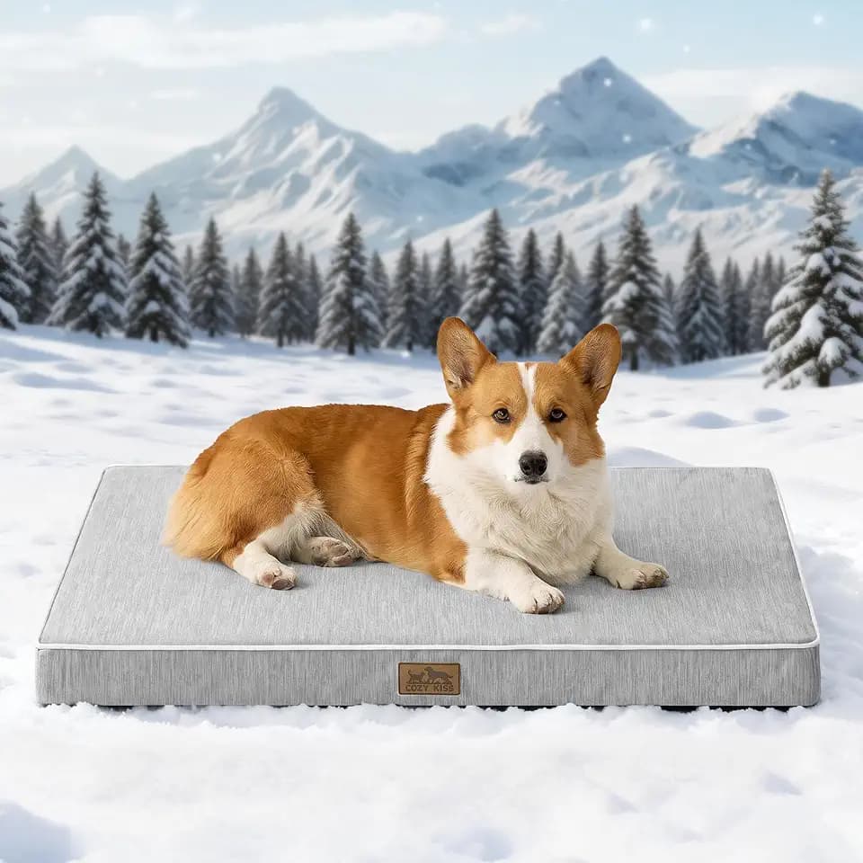 COZY KISS Orthopädisches Waschbar Hundebett Grosse Hunde, 91X69cm