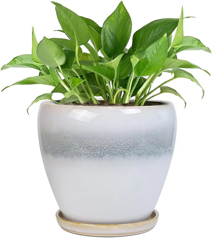 Ceramic Plant Pot - 6 Inch Ceramic Pots Indoor, White-Grey