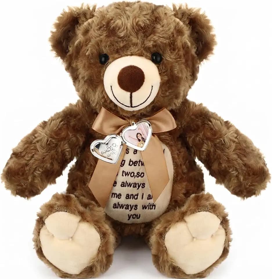 Silipull 12 Inch Bear Stuffed Animals with Voice Recorder Photo Pendant Set Cute Soft Plush Bear Messages Playback Stuffed Animals with Zipper for Boys Girls(Dark Brown)