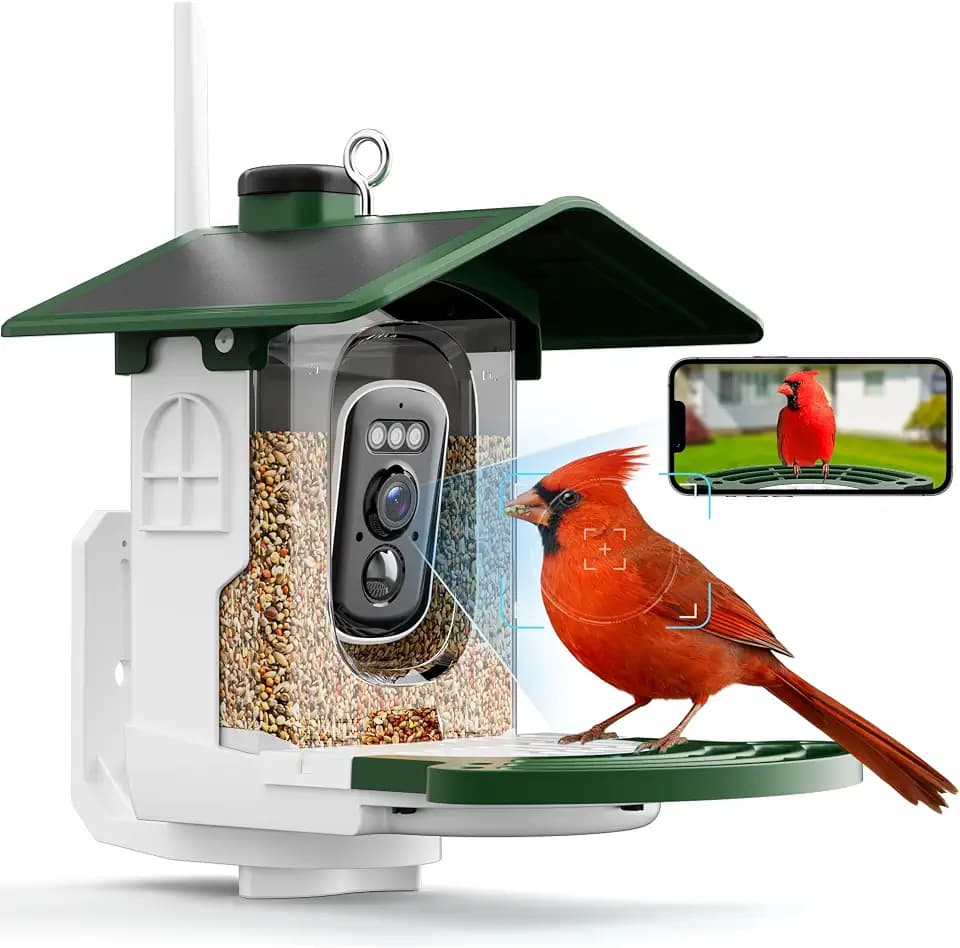 Smart Bird Feeder with Camera, Solar 2K AI Identification, Green
