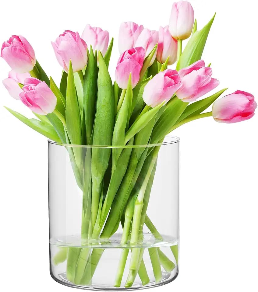 Glas Vase Zylinder Luca - Kerzenleuchte, Transparente Tischdeko Natrium-Kalk Glas, Fassungsvermögen 2350 ml, Durchmesser 15 cm, Höhe 15 cm, Haus, Restaurant, Feste