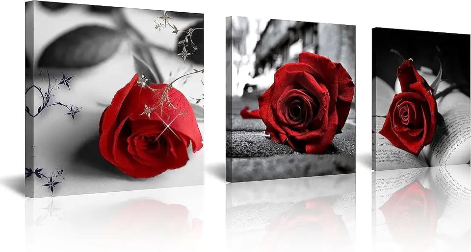NAN Wind Canvas Print 3 Pcs Black and White Red Rose Canvas Art Painting Abstract Wall Art Decorations Flower Picture on Canvas for Home Decor Stretched and Framed (20X20inchX3pcs, A-Rose)