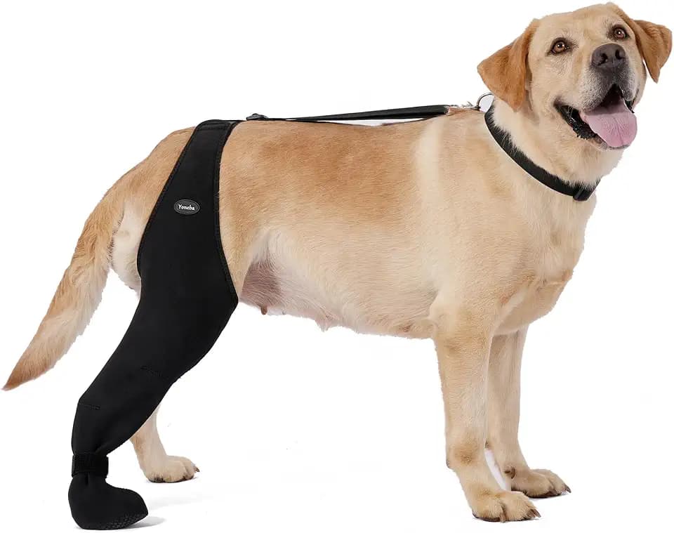 Dog Socks to Prevent Licking Paws ，Breathable Leg Sleeve to Stop Licking and Biting， Firm and Secure Adjustable Size Dog Recovery Sleeve Socks (L-Right)