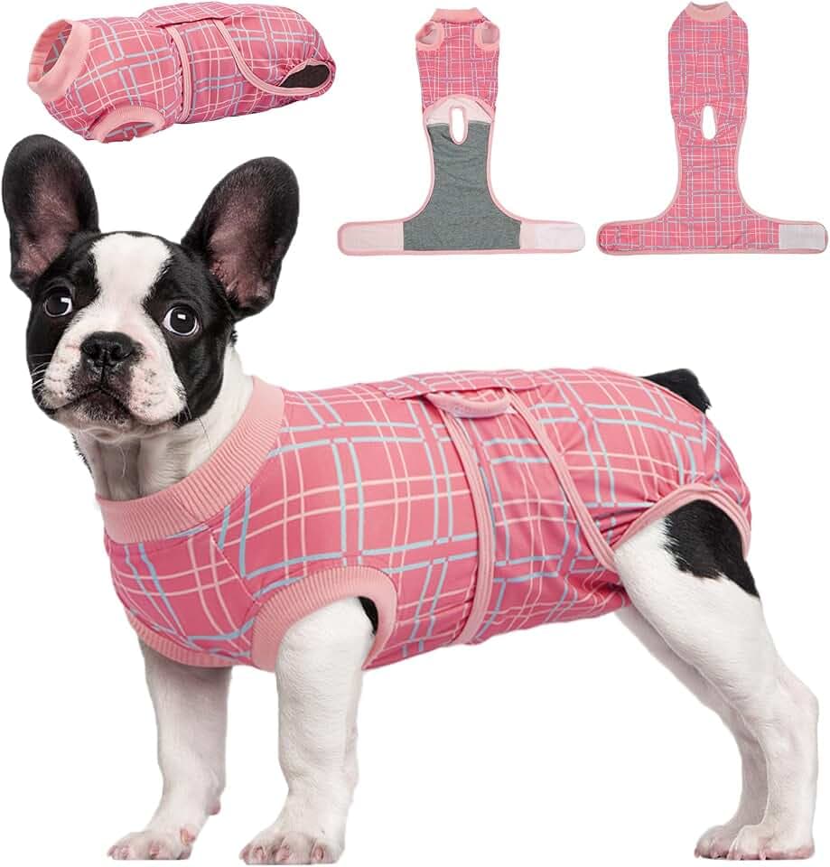 Kuoser Recovery Suit for Dogs After Surgery, Female Dog Onesie for Surgery