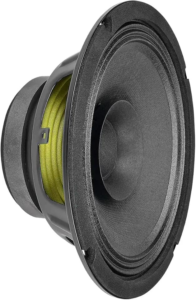 PRV AUDIO 8FR250 8 Inch Full Range Speaker, 8 Ohms, 250 Watts Continuous Program Power, 125 Watts RMS Power, 93.5 dB, Full-Range Driver Loudspeaker for Pro Audio Systems (Single)