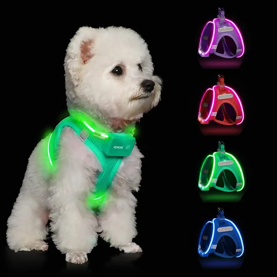 Light Up Dog Harness, Rechargeable LED Dog Harness for Small Medium Dogs