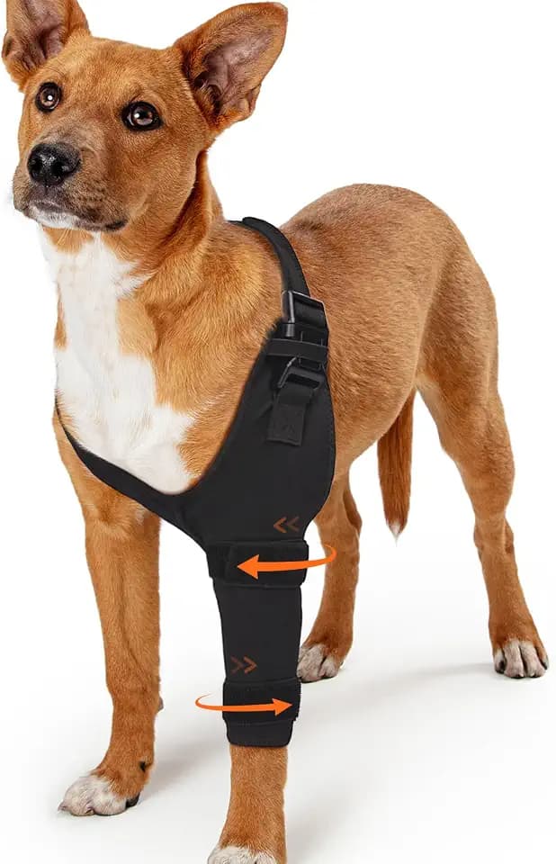 Dog Elbow Protector Brace Sleeve for Arthritis Pressure Sores Dysplasia Calluses– Breathable Adjustable Dog Front Leg Sleeve Anti-Licking for Post-Surgery Care Recovery(Left Leg, XXL)