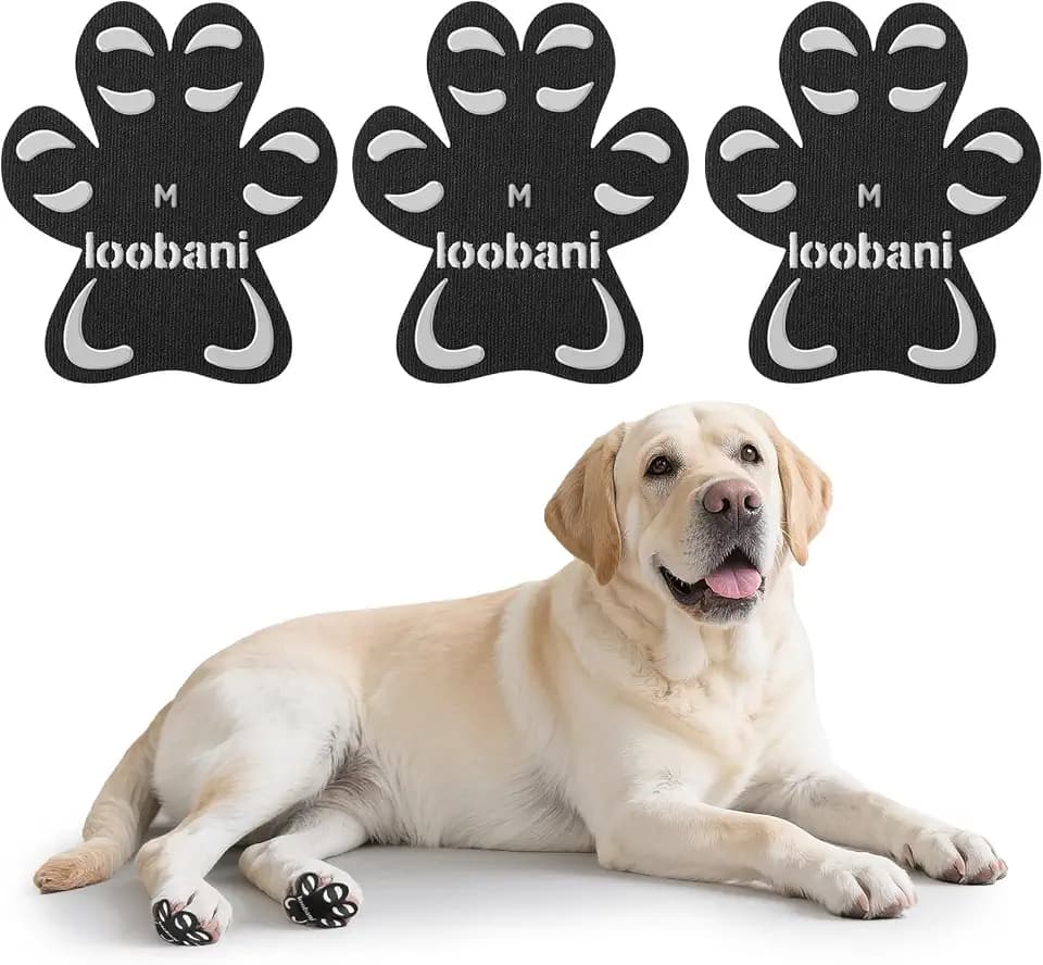 Paw Pads for Senior Dogs Traction to Prevent Slipping on Hardwood Floors