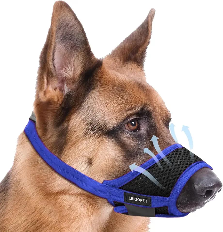 Dog Muzzle for Medium Dogs, Breathable Mesh, Blue, M