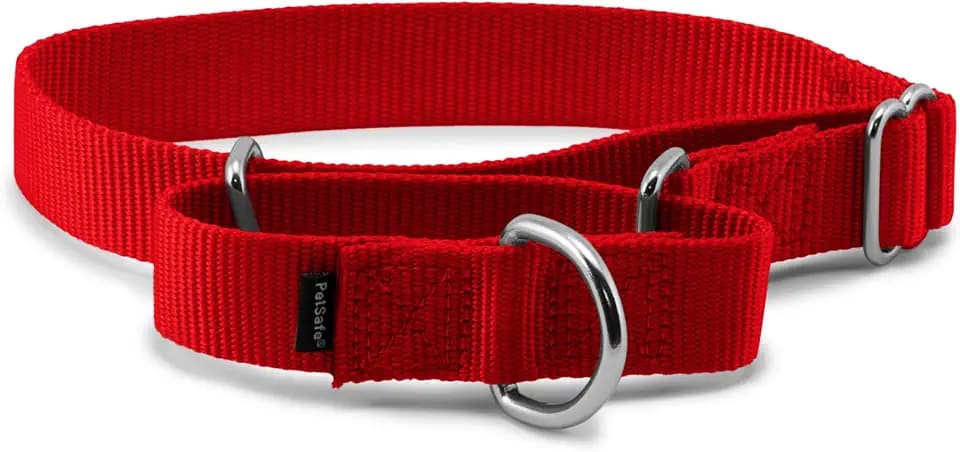 PetSafe Martingale Dog Collar, Red, 1 in, Medium