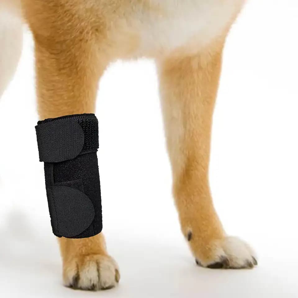GenetGo Dog Canine Front Leg Brace Paw Compression Sleeve Joint Wraps - Protects Wounds Stop Licking & Prevents Injuries, Sprains Helps with Loss of Stability from Arthritis - Small