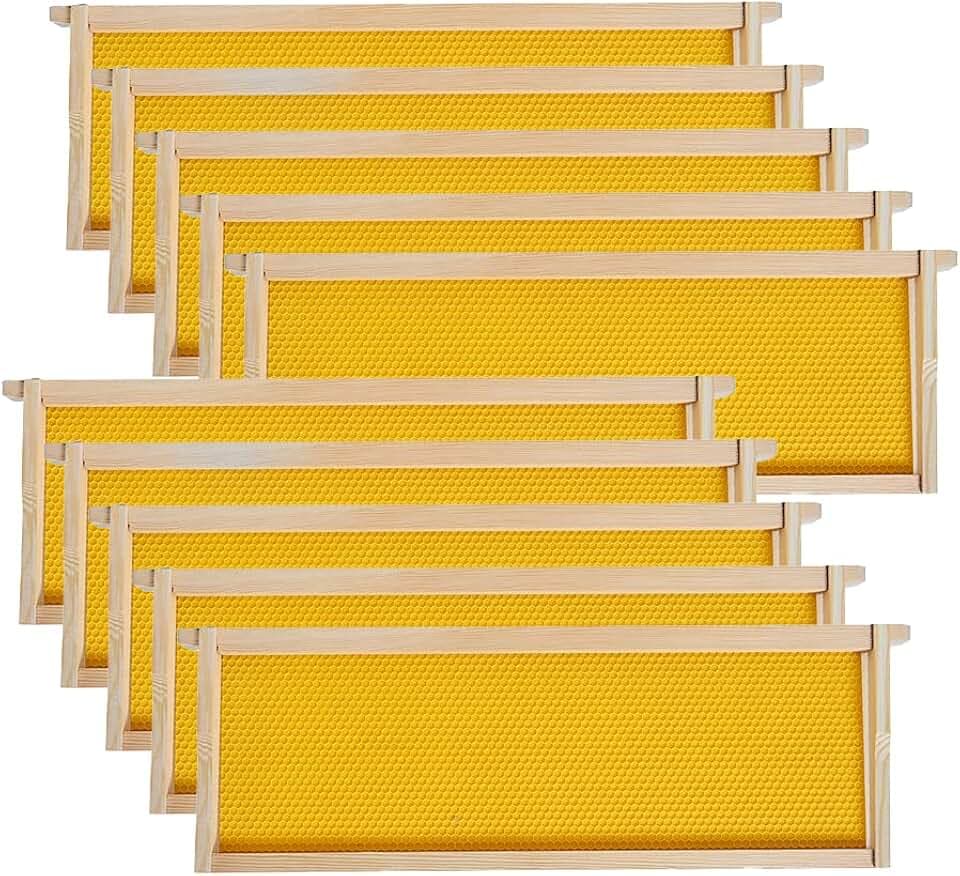 Medium Super Beehive Frames with Wax Foundations, 10 Pack Honey Bee Frames with Beeswax Coated Food Grade Foundation Sheets, 6-1/4-Inch (Yellow)