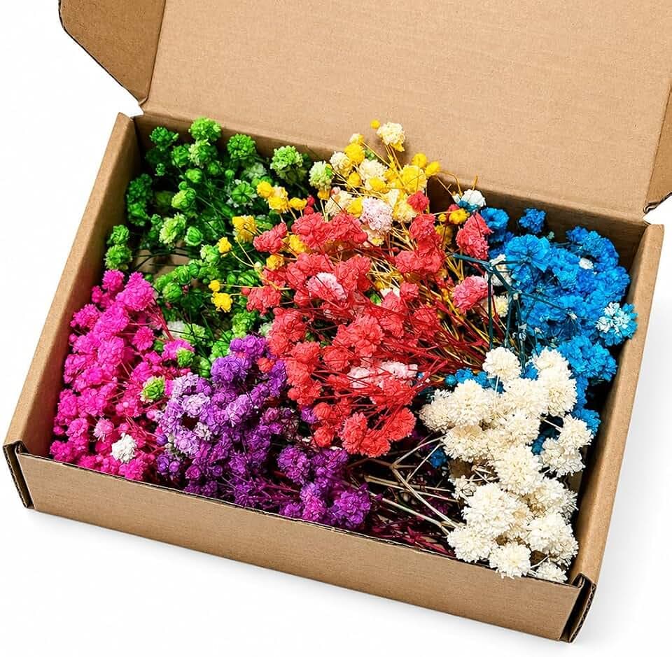 Schleierkraut Getrocknet Bunt, Trockenblumen Schleierkraut,Natürliche Getrocknete Blumen,100 Stück