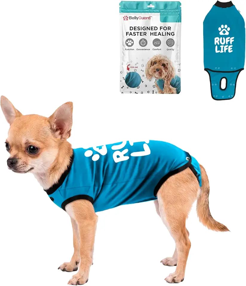 BellyGuard Dog Surgery Recovery Suit, Male Female After Spay Neuter Onesie