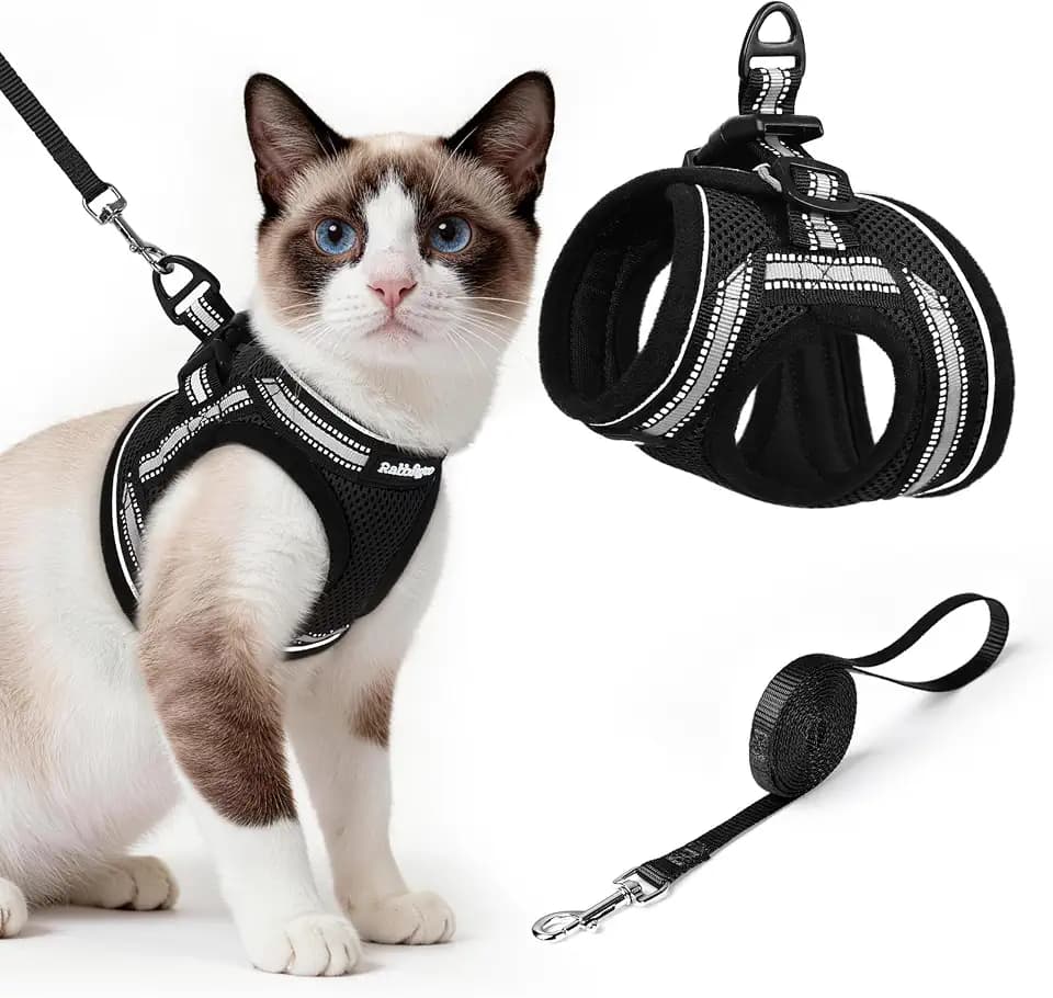 rabbitgoo Cat Harness and Leash Set, Step-in Soft Vest, Black
