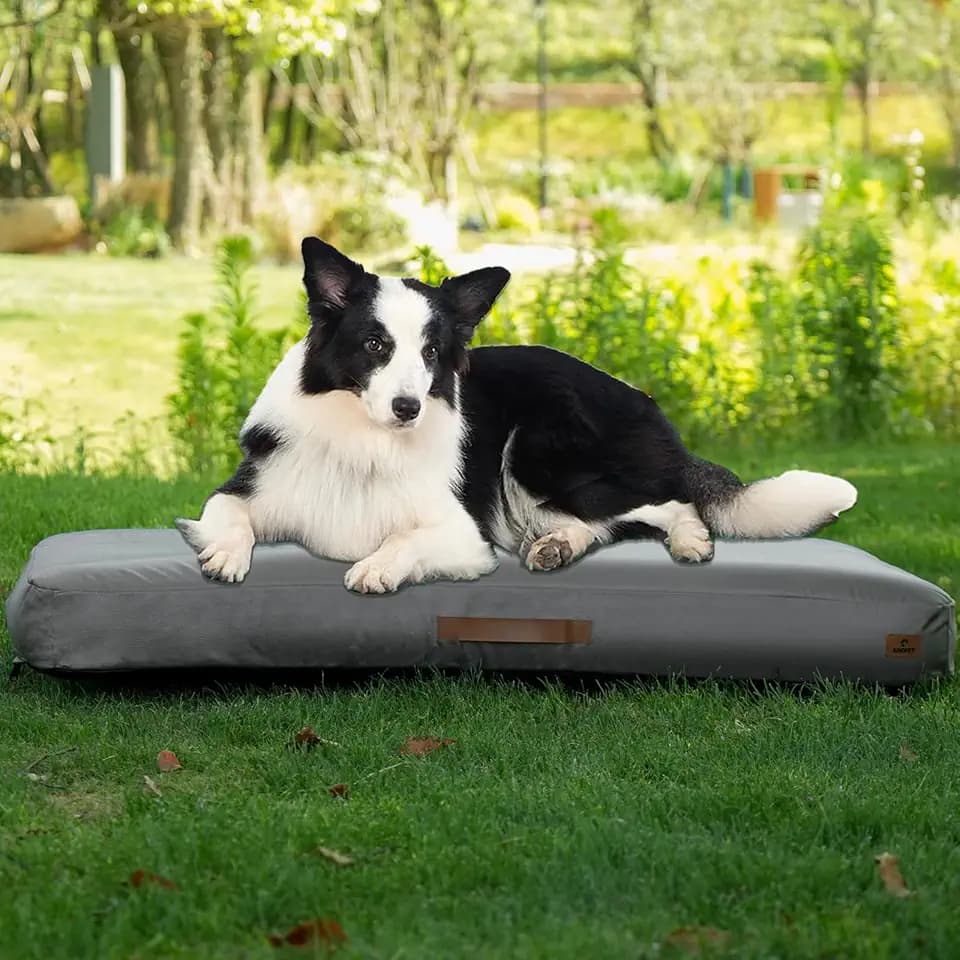 ABCPET Outdoor Inflatable Dog Bed for Medium Dogs, Winter Outdoor Travel Dogs Met with Removeable Cover, Inflated Dog Bed Waterproof Summer Pet Mat with Anti-Slip Bottom, Rock Grey, 41x28 inch