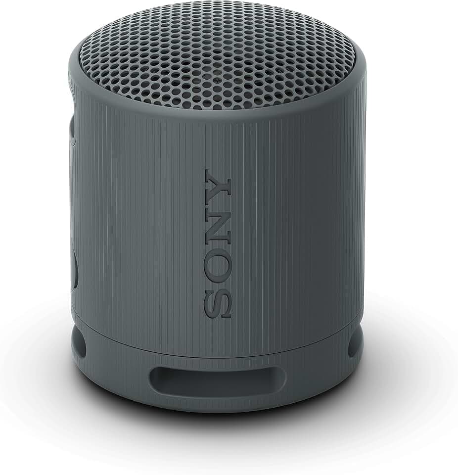 Sony SRS-XB100 - Kabelloser Bluetooth-Lautsprecher, tragbar, leicht, kompakt, Outdoor, Reise, langlebig, IP67 wasser- und staubdicht, 16 Std Akku, Trageriemen, Freisprechfunktion, schwarz