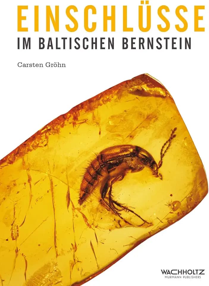 Einschlüsse im baltischen Bernstein