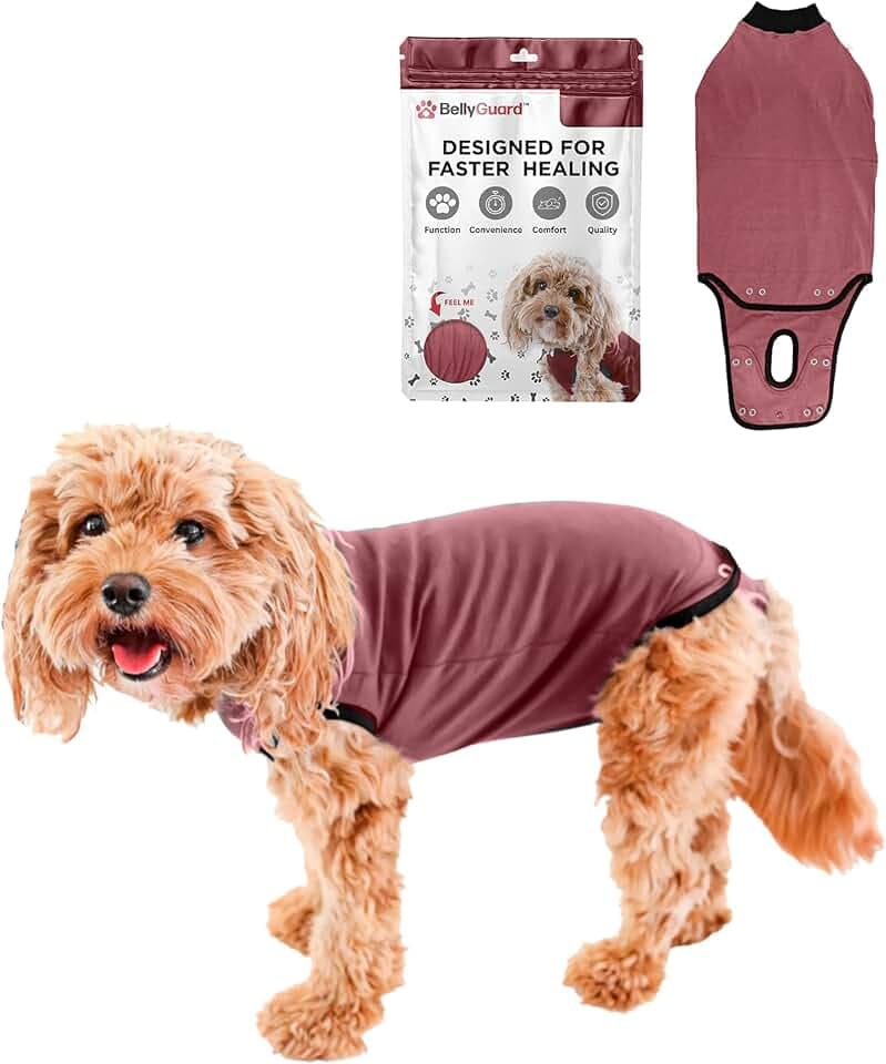 BellyGuard Dog Surgery Recovery Suit, Male Female After Spay Neuter Onesie