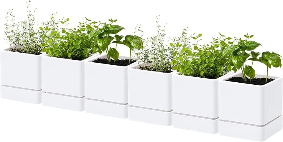 D'vine Dev 6-Pack Plastic Herb Planter Pots, 4 in, White, 76-Y-A6-1