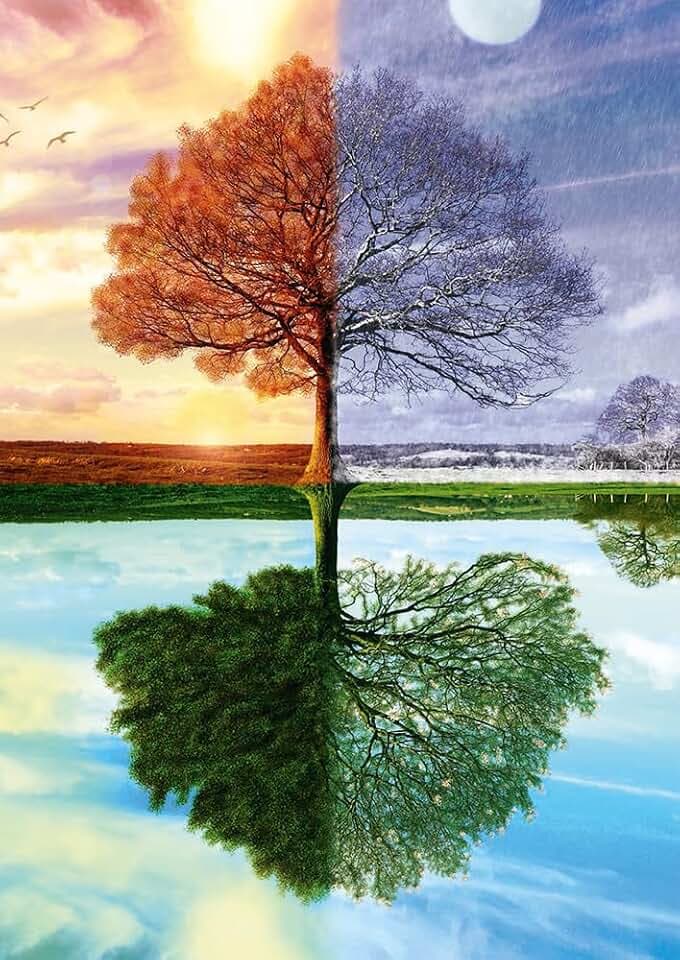 Schmidt Spiele 58223 Puzzle Jahreszeiten Baum, 500 Teile Puzzle