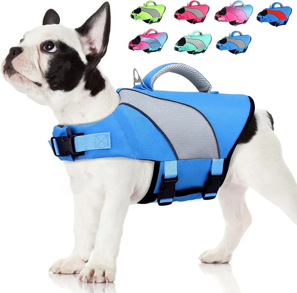 Doglay Dog Life Jacket, Reflective Swim Vest for Swimming, Blue & Gray, M