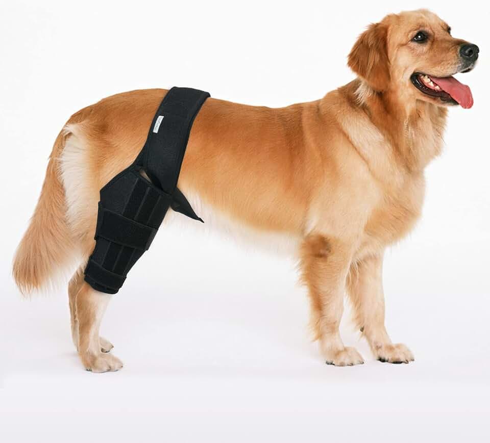 Dog Knee Brace for ACL & CCL Hind Leg Injuries Black, Small