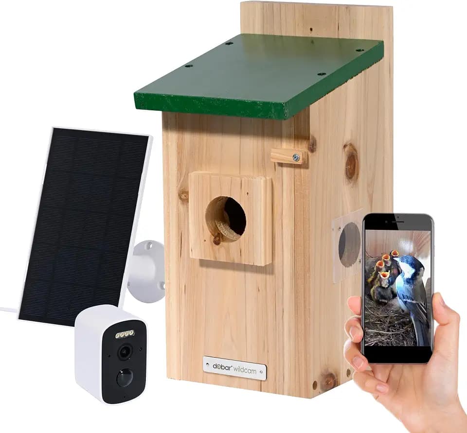 Luxus-VOGELHAUS Nistkasten Eazy mit WiFi Kamera und Solar Panel - Vogelbeobachtung mit Nisthilfe aus Holz und App - Ø 40 mm Einflugloch - Grün