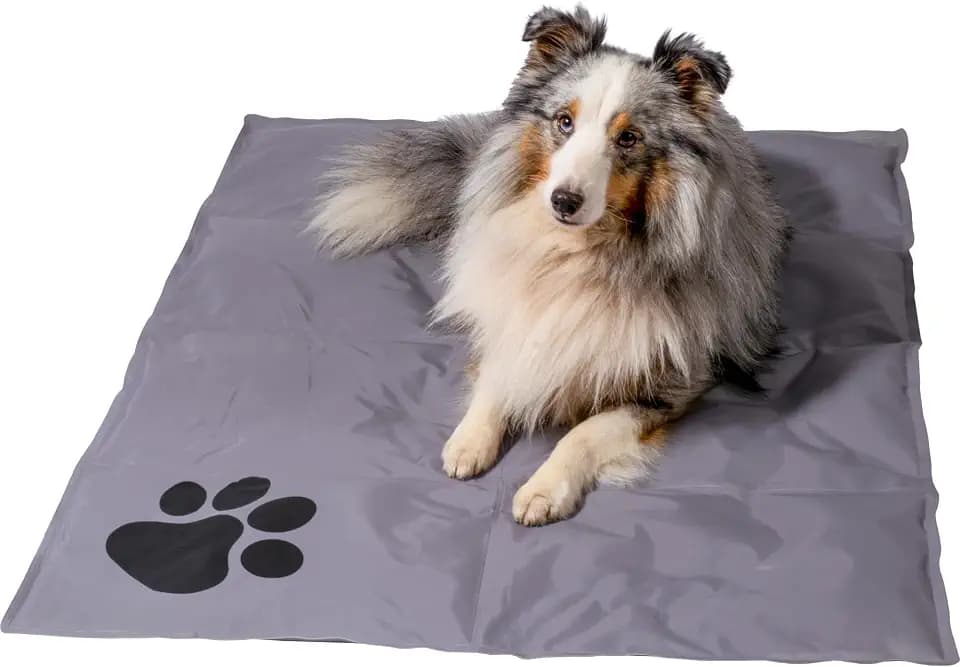 dobar® 60422 Kühlmatte für Hunde - Hundekühlmatte für Hund & Katze - selbstkühlende Matte für Haustiere - Hundedecke mit Kaltgel-Füllung - Kühldecke - 99,5 x 70 cm - Grau