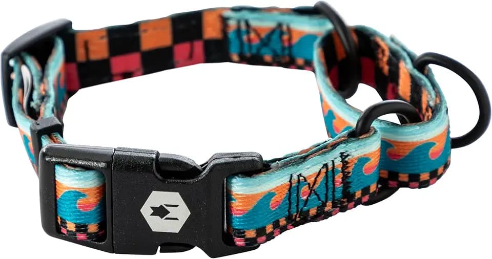 Wolfgang Martingale Dog Collar Buenaonda Print Medium