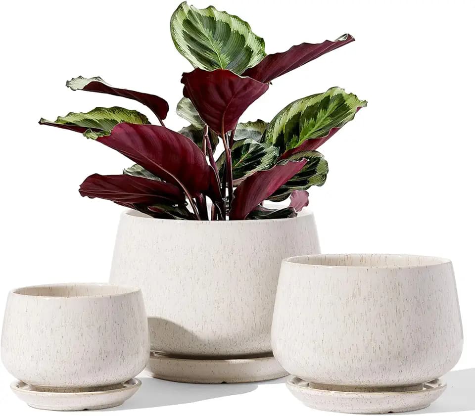 LE TAUCI Plant Pots, 4.1+5.1+6.5 inch, Set of 3, Reactive Glaze Beige