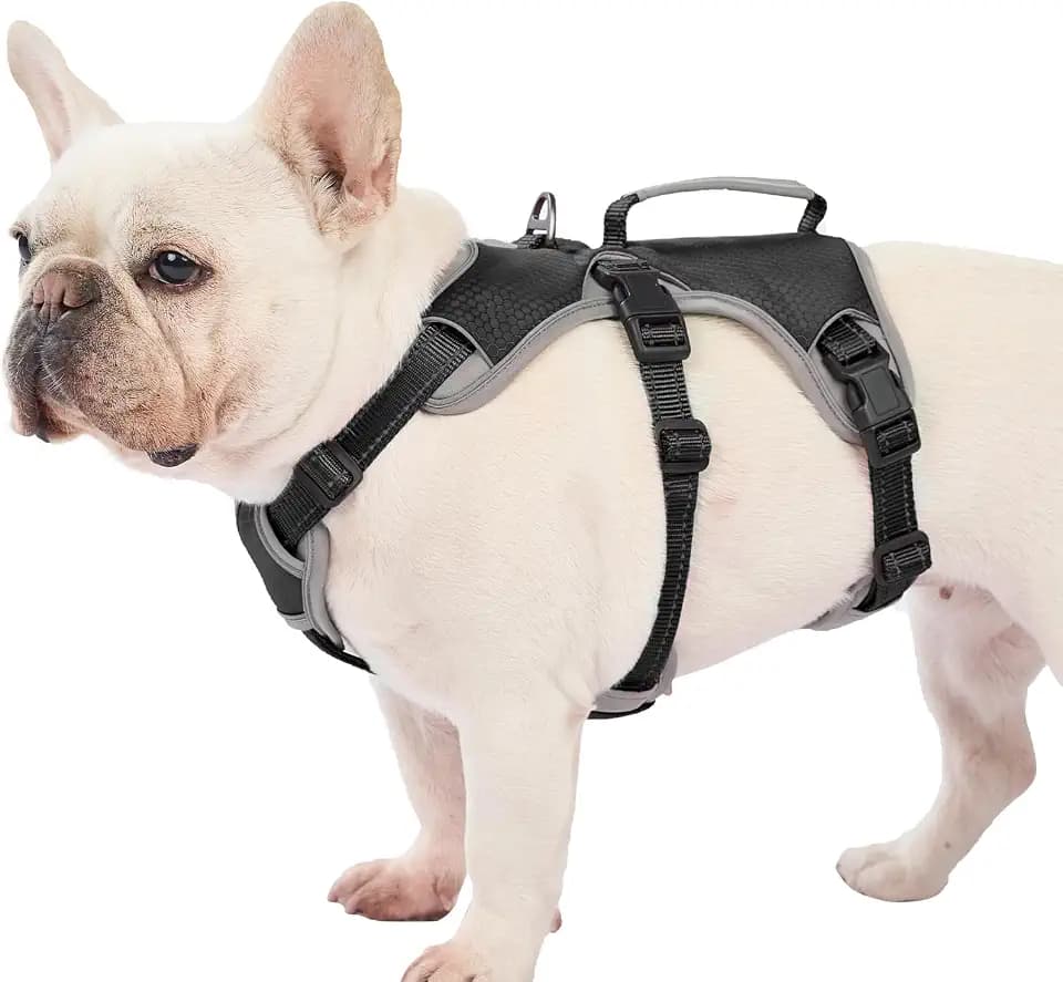 Huntboo Escape Proof Dog Harness, Dachshund Harness, Reflective Dog Harness with Handle, Durable,Adjustable Vest for Small Medium Large Dogs Walking, Training, and Running Gear (Black,M)