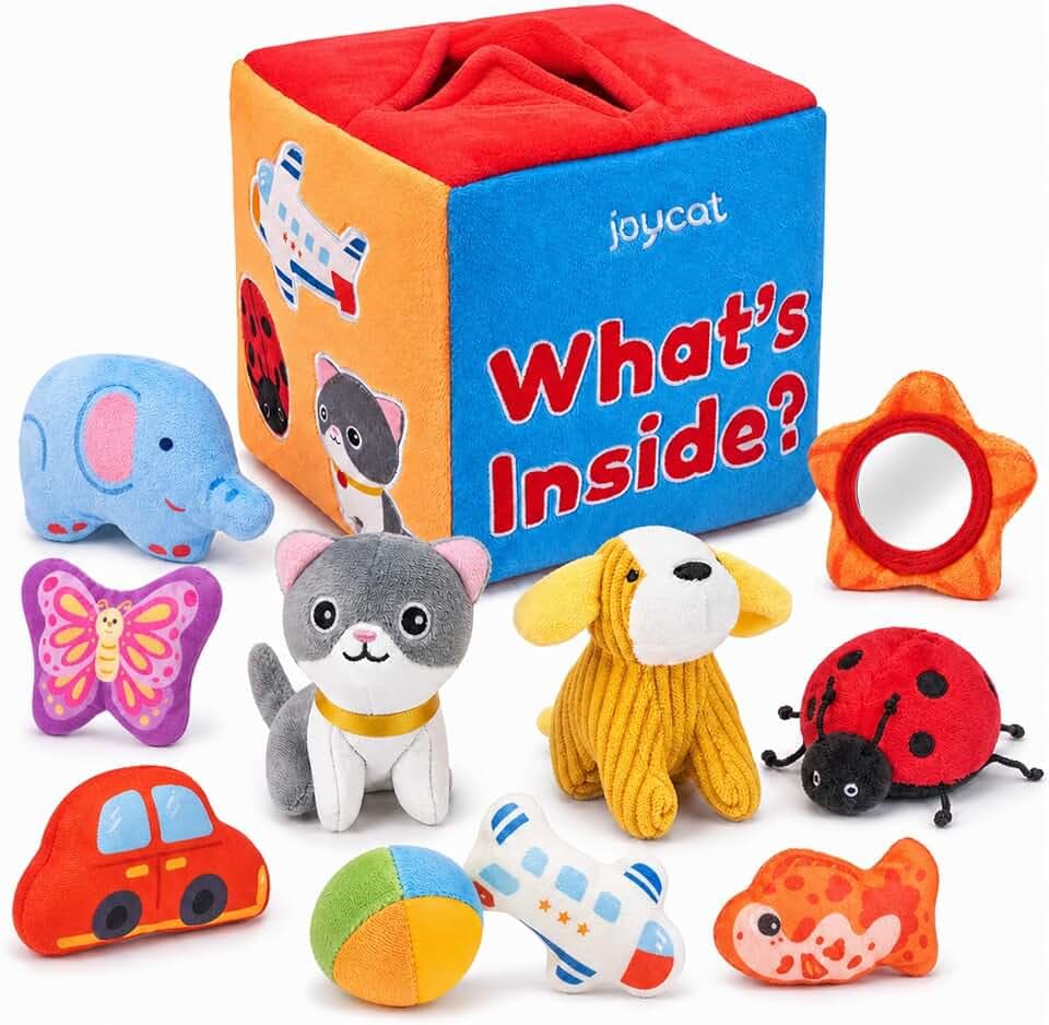 JoyCat Baby Toys 6-12 Months, Mystery Soft Box 10 Sensory Objects, Rattle
