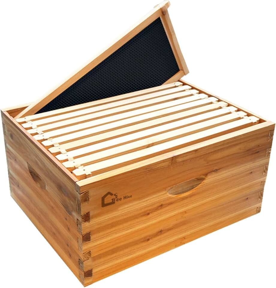 10 Frame Deep Brood Box, Langstroth Beehive Box Dipped in 100% Beeswax, Bee Hive Deep Box with Frames and Wax Foundations for Beekeeping Supplement